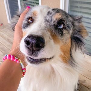 Meet your Posher, Jillian